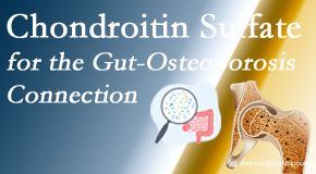 Satterwhite Chiropractic presents new research linking microbiota in the gut to chondroitin sulfate and bone health and osteoporosis. 