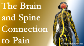 Satterwhite Chiropractic looks at the connection between the brain and spine in back pain patients to better help them find pain relief.