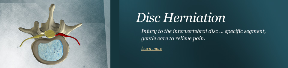 header-disc-herniation.jpg