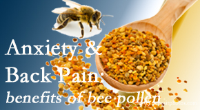 Satterwhite Chiropractic shares info on the benefits of bee pollen on cognitive function that may be impaired when dealing with back pain.