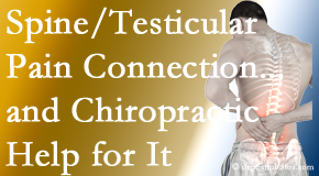 Satterwhite Chiropractic explains recent research on the connection of testicular pain to the spine and how chiropractic care helps its relief.
