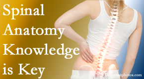 Satterwhite Chiropractic knows spinal anatomy well – a benefit to everyday chiropractic practice!