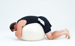 stability ball stretch 1