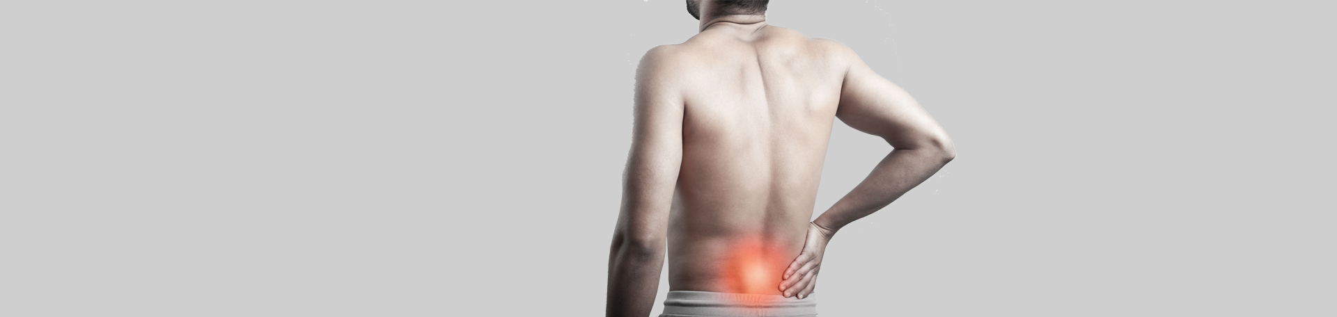 Oxford back paraspinal muscles