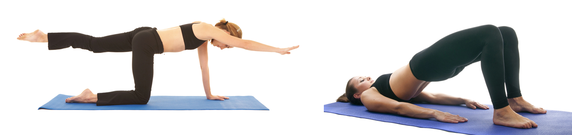 Oxford chiropractic exercise to strengthen multifidus