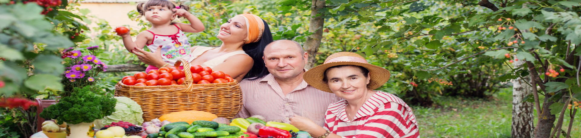Oxford chiropractic summer health tips