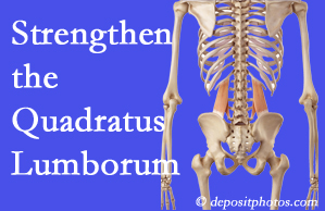 Oxford chiropractic care proposes exercise recommendations to strengthen spine muscles like the quadratus lumborum as the back heals and recovers.