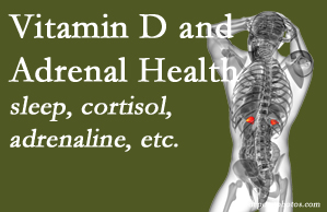 Satterwhite Chiropractic shares new research about the effect of vitamin D on adrenal health and function.